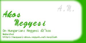 akos megyesi business card